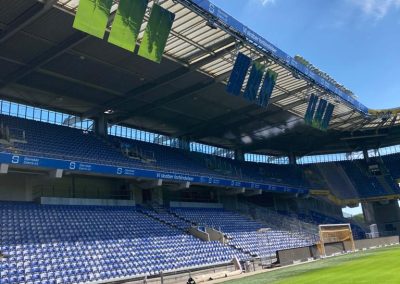 Asesoría en Césped