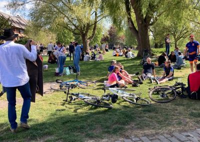 Asesoría en Césped