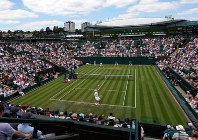 Asesoría en Césped