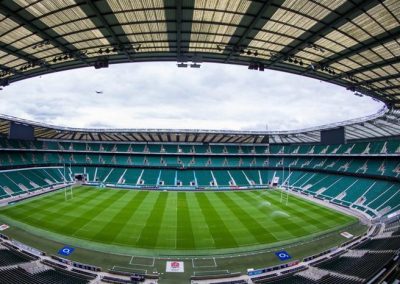 Asesoría en Césped