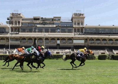 Asesoría en Césped