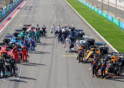 Asesoría en Césped