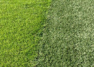 Asesoría en Césped