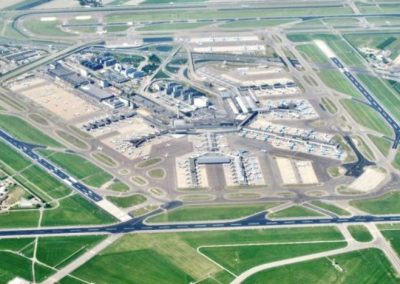 Asesoría en Césped