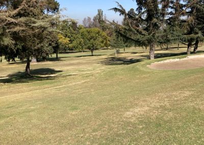 Asesoría en Césped