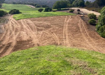 Asesoría en Césped