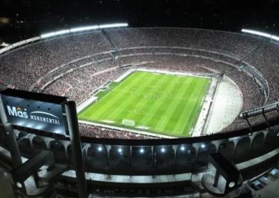 Asesoría en Césped