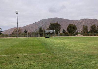 Asesoría en Césped