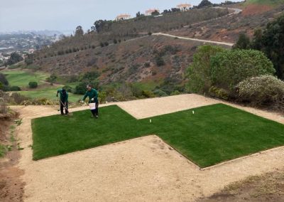 Asesoría en Césped