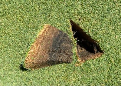 Asesoría en Césped