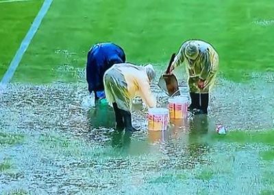 Asesoría en Césped