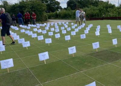 Asesoría en Césped