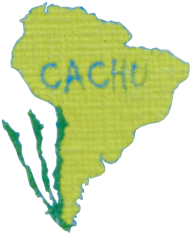 Asesoría en Césped