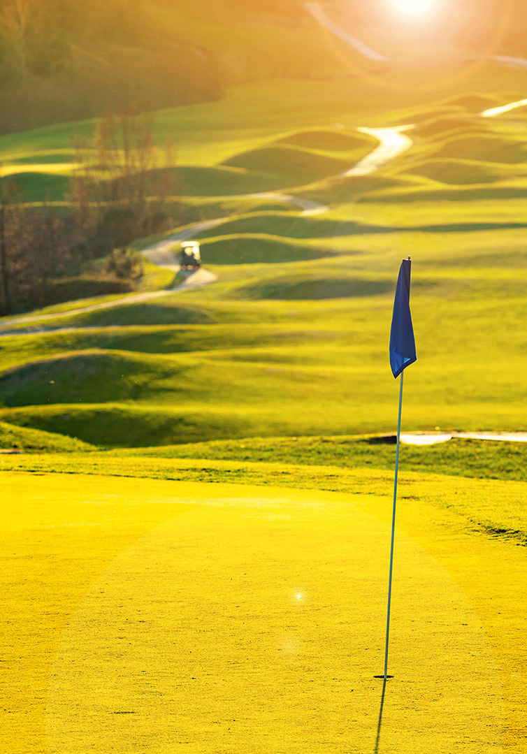 Asesoría en Césped